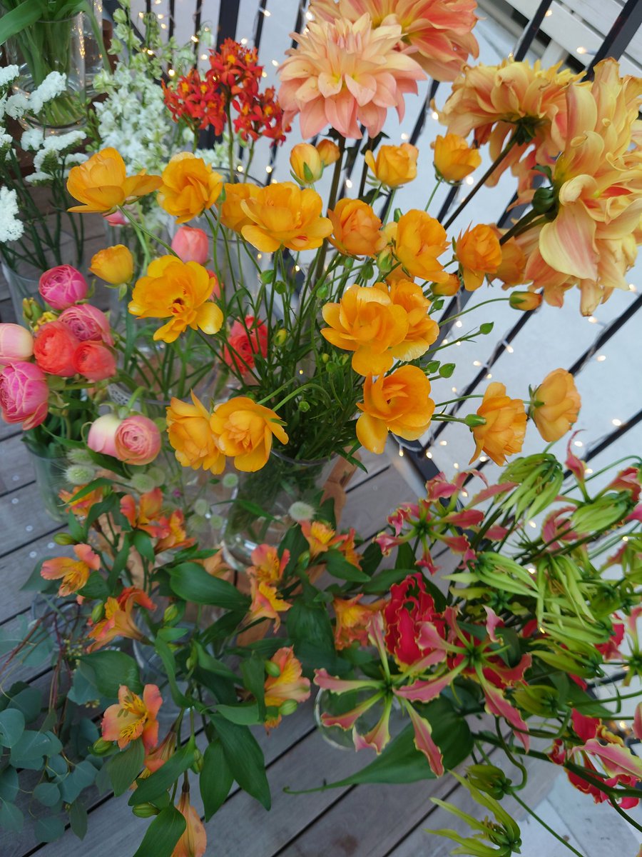 一心 'iSSHiN' One Heart🚬🤓 tweet media