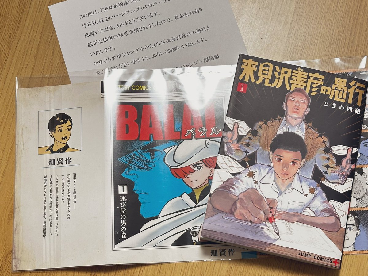 来見沢善彦の愚行 当選品 リバーシブルブックカバー 来見沢善彦の愚行