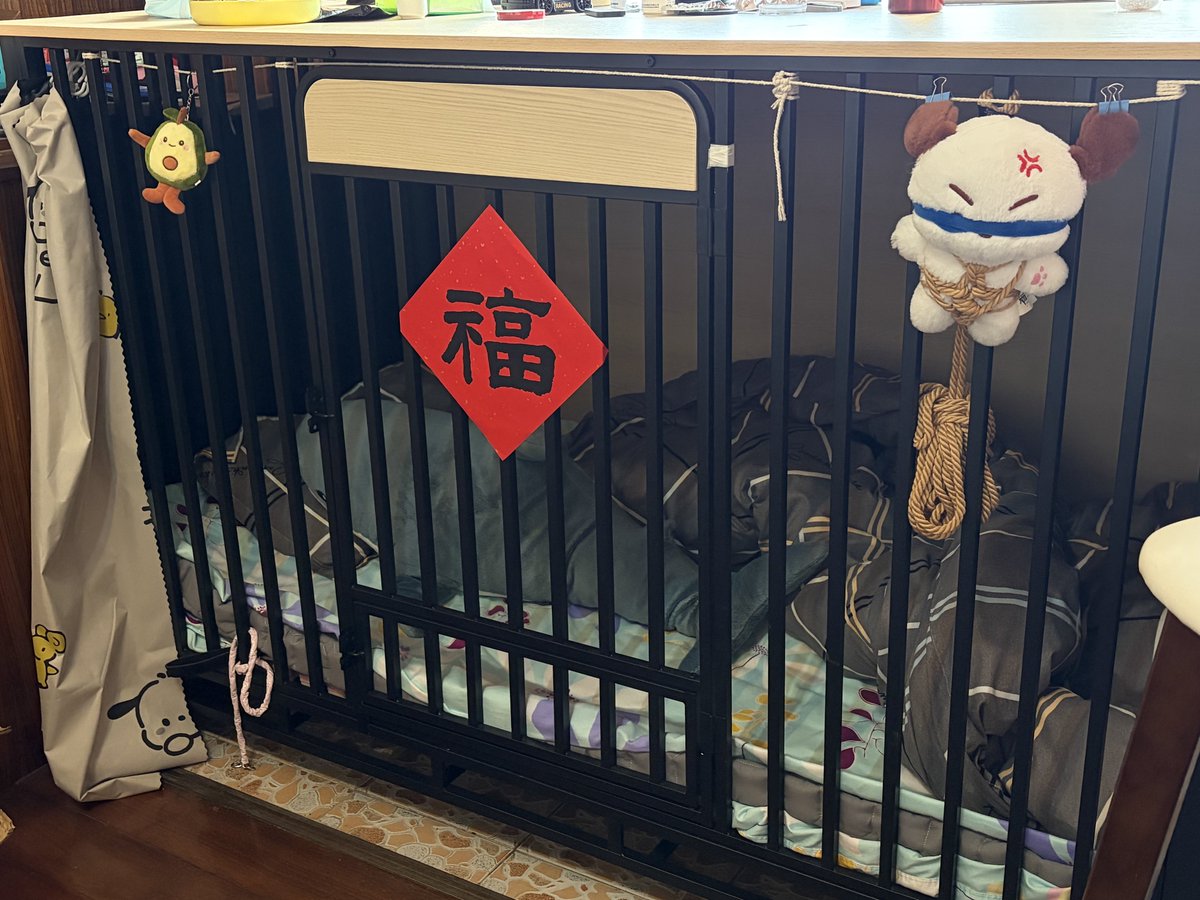 杨胜斌yang🥁 tweet media
