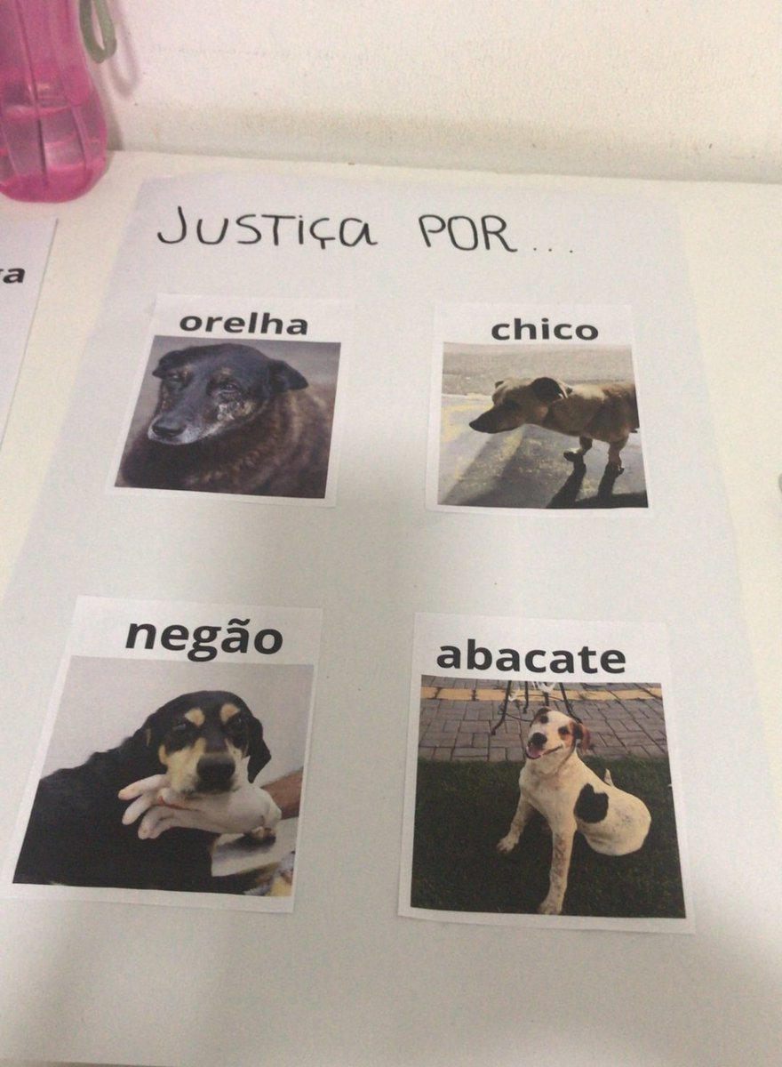 lola19803789's tweet image. #FEDERALIZAORELHA