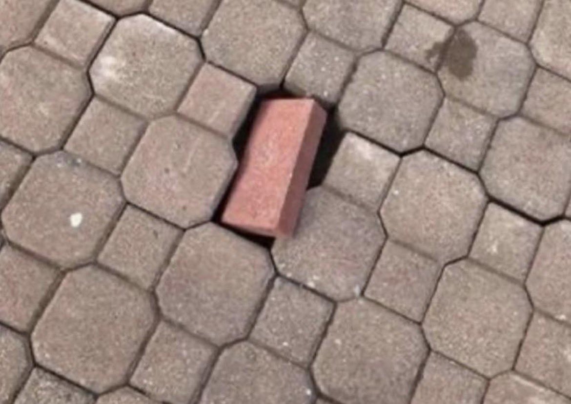 BoneScruffy's tweet image. I’ll fit right in by not fitting at all.