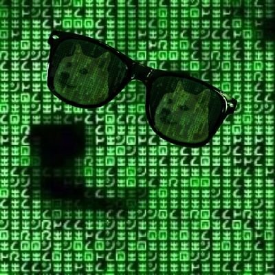 The ONLY other Dogecoin that Elon has
interacted with (69dogecoin) &amp; fees are
finally locked/ redirected to their wallet

Survived multiple vamps &amp; is posting in
this comm but also fully acknowledged

Can finally SEND this where it deserves

$DUSK