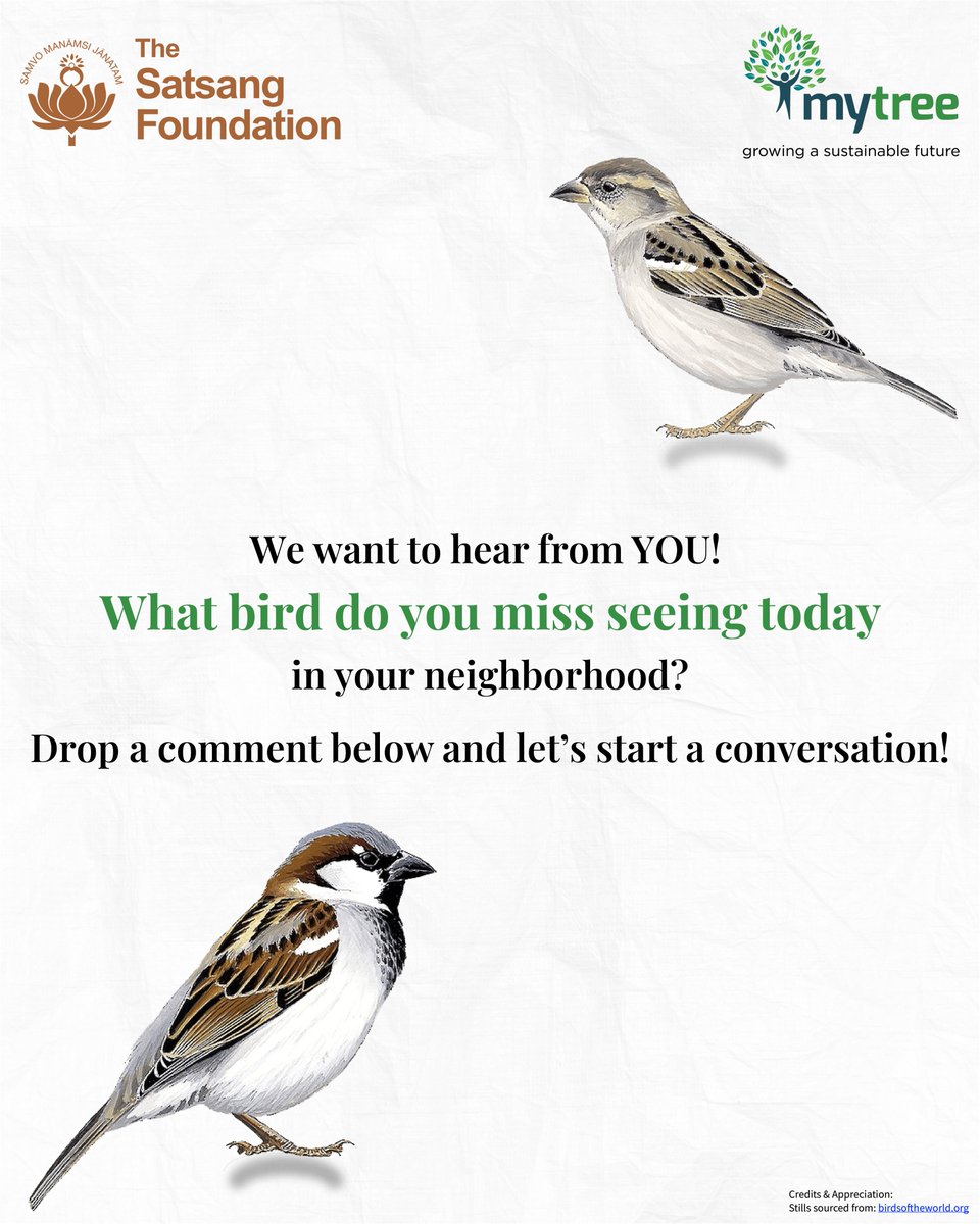 SatsangTweets's tweet photo. 2/2
To know more about the MyTree initiative, please write to connect@satsang-foundation.org.
#TheSatsangFoundation #MyTree #Maitri #MyTreeAcademy #Environment #Sustainability #YouthPower #Mumbai https://t.co/pZdMXQVWHL