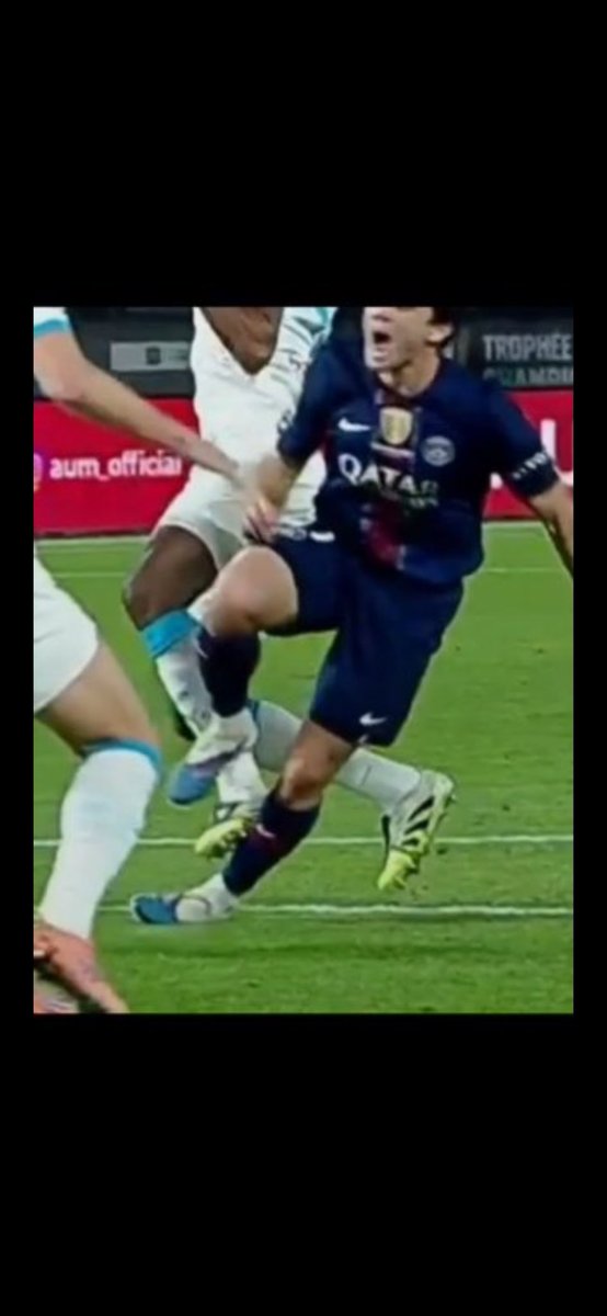 BeBykat🇫🇷 🐝 tweet media