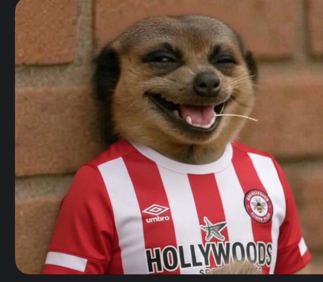 I’ve been a brentford fan since I was born.