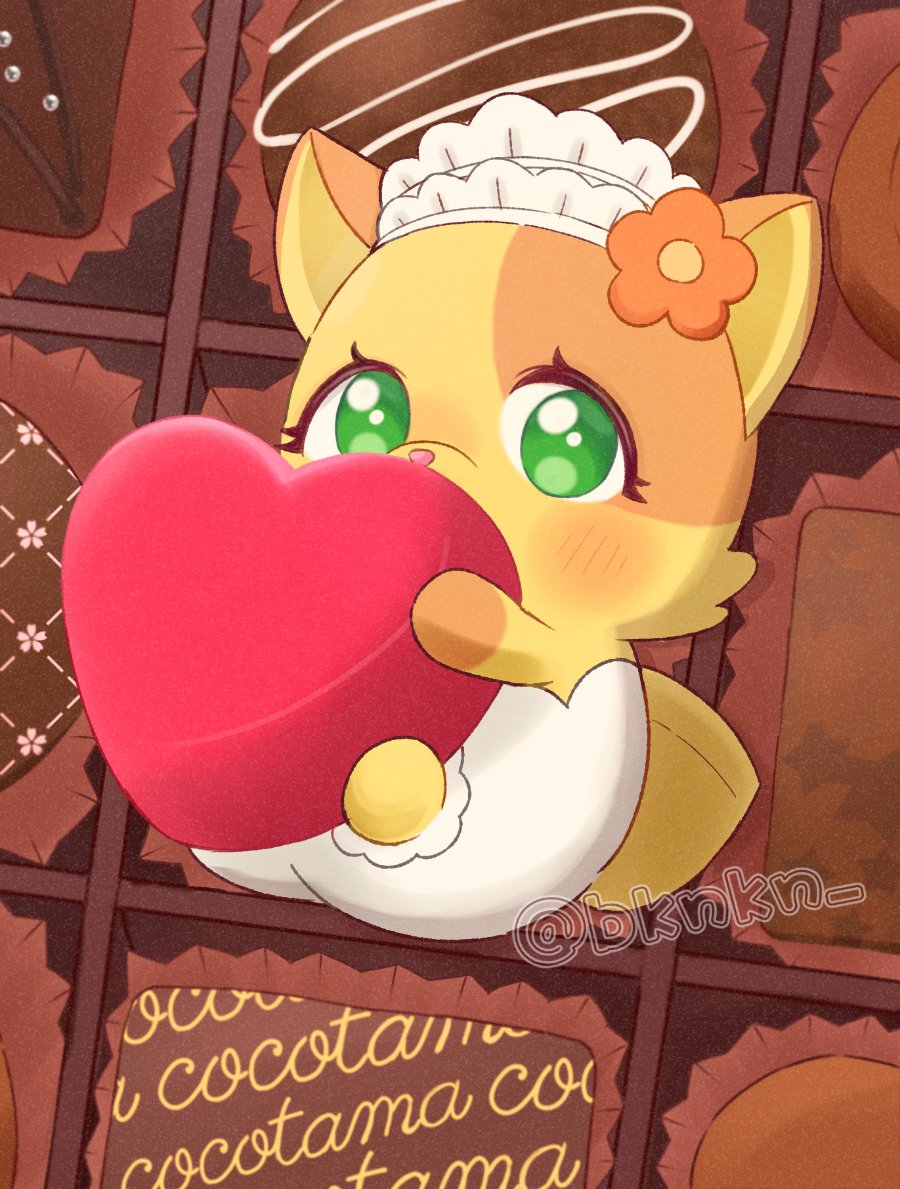 きなこな tweet media