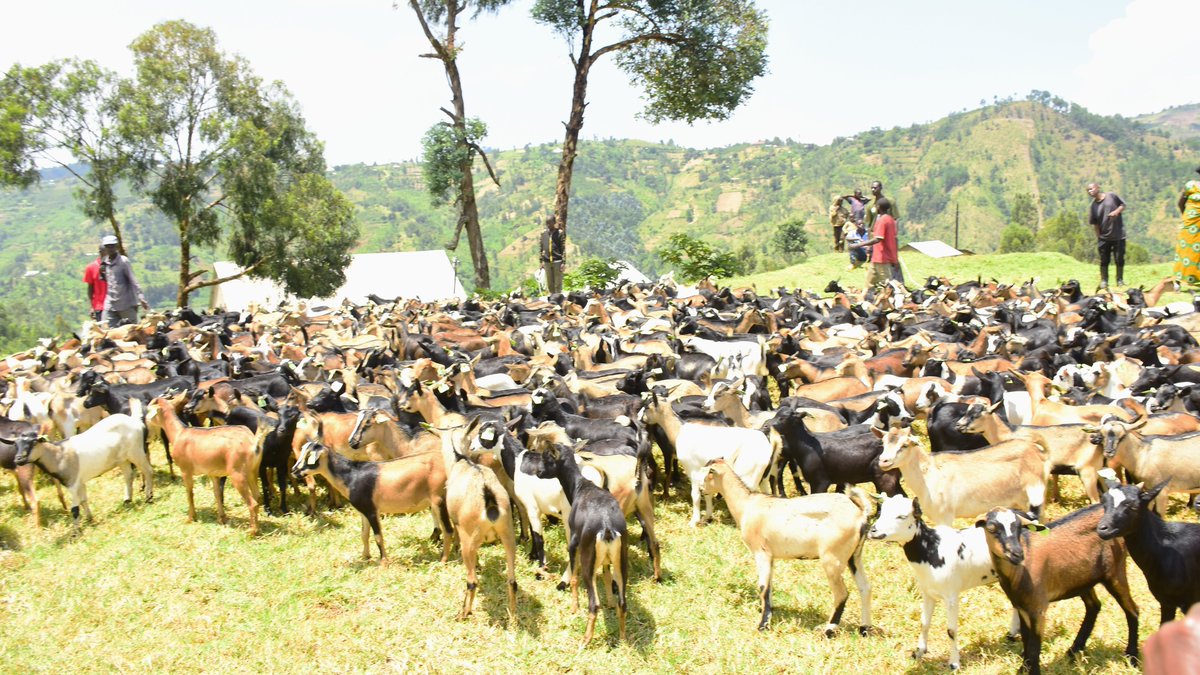 Karongi District tweet media