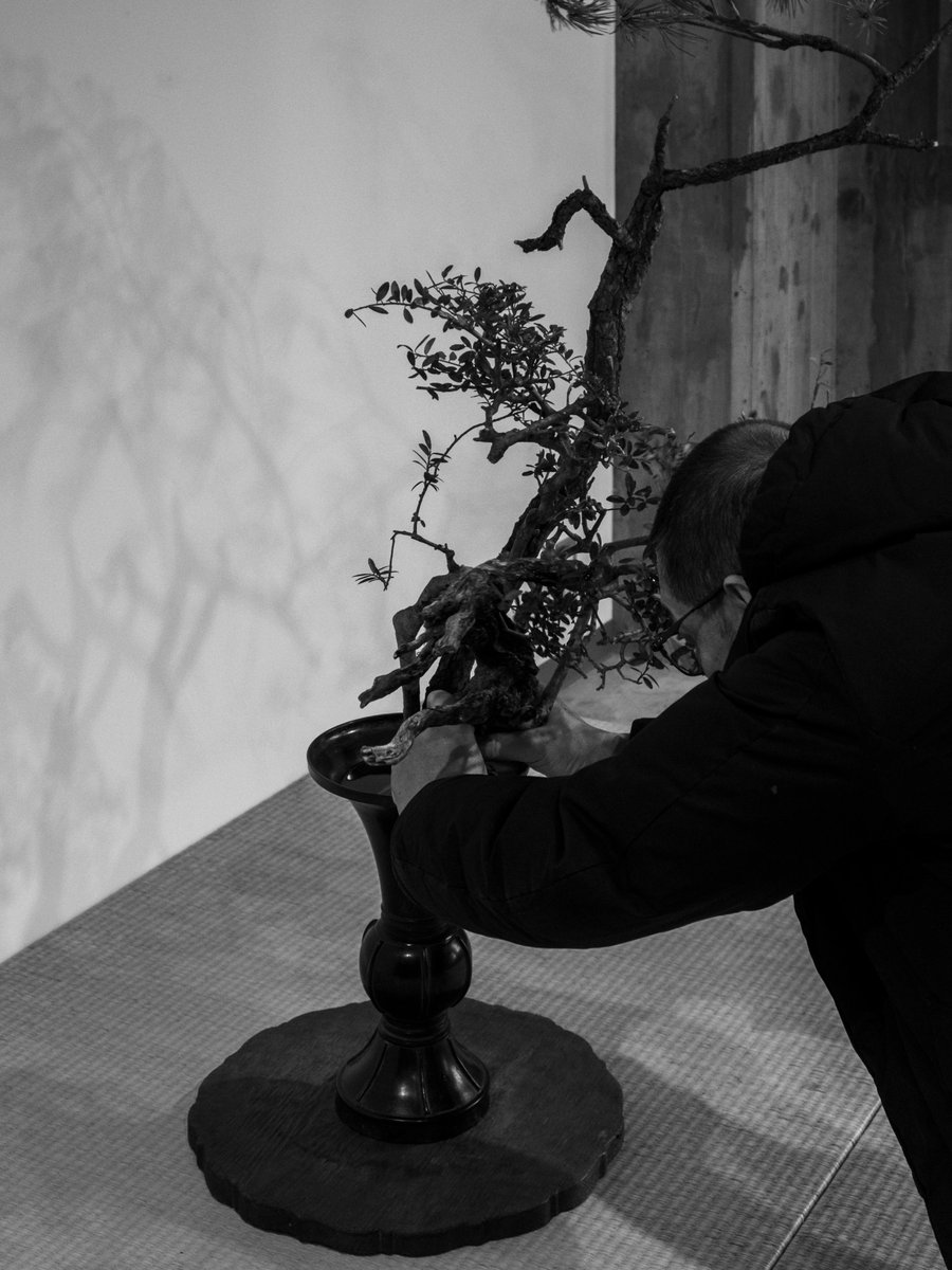 工芸青花｜sugano (@kogei_seika) / Posts / X