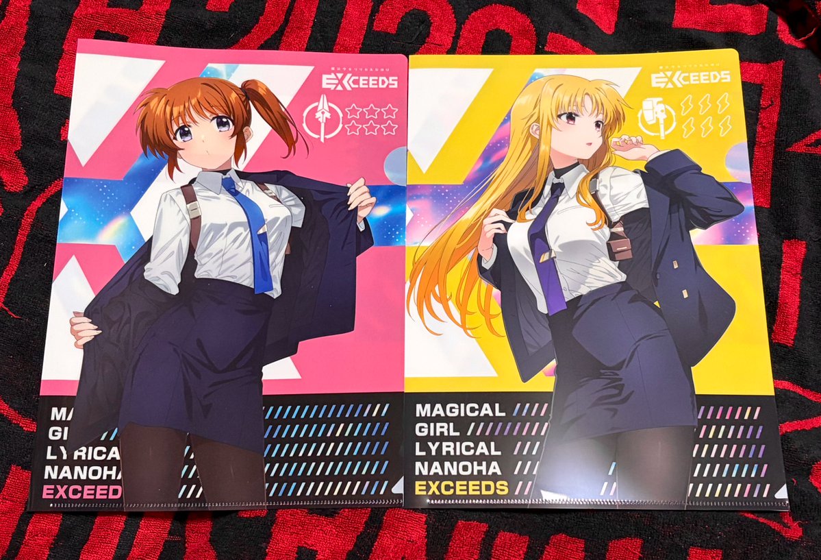 本日、とらのあなさんとメロンブックスさんのEXCEEDS2巻が到着いたし