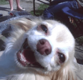 🦋 CHEL 🦋 tweet media