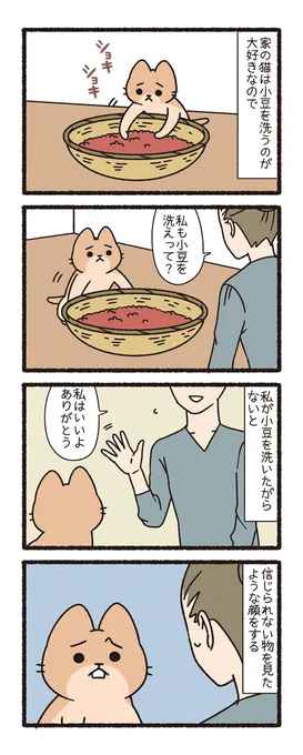 ねこようかい あずきあらい その6 
