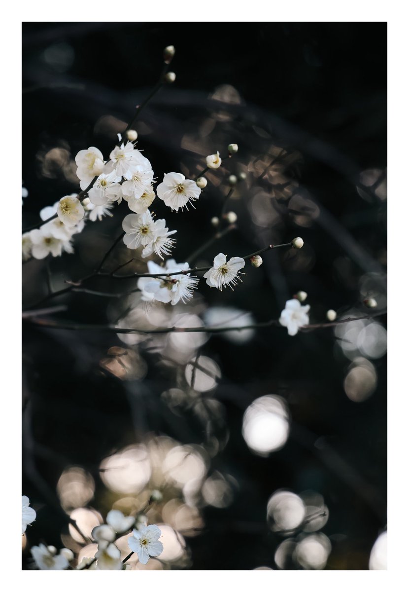 𝓜 (@lala_lan33) on Twitter photo 