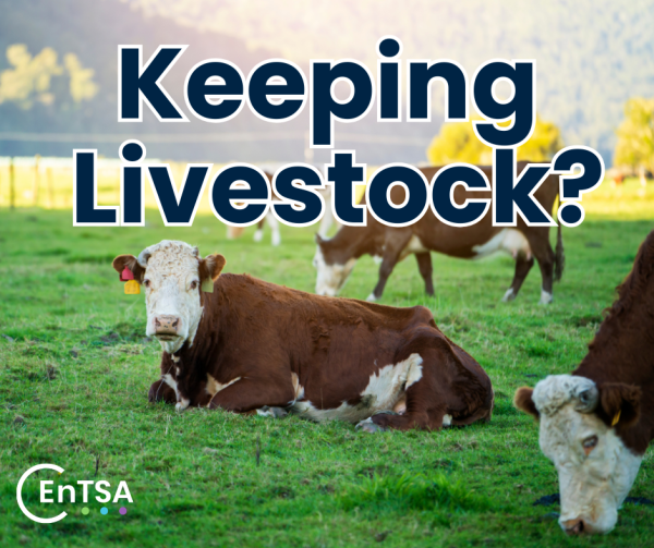 Trading Standards tweet media