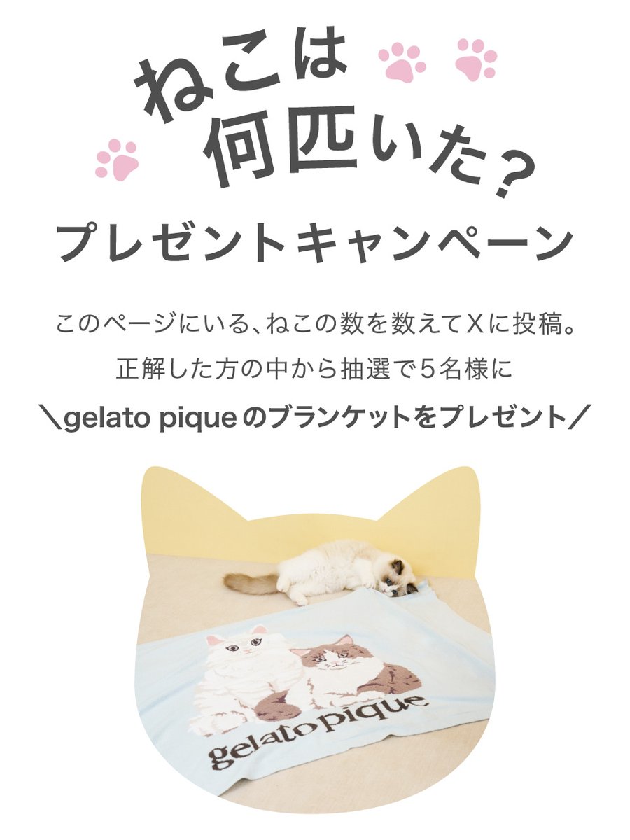 58匹見つけられました🎀🐈🤍 #ウサギオンラインのねこの日