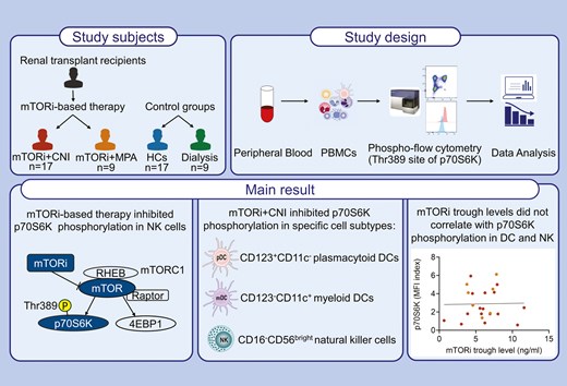 Clinical & Experimental Immunology tweet media
