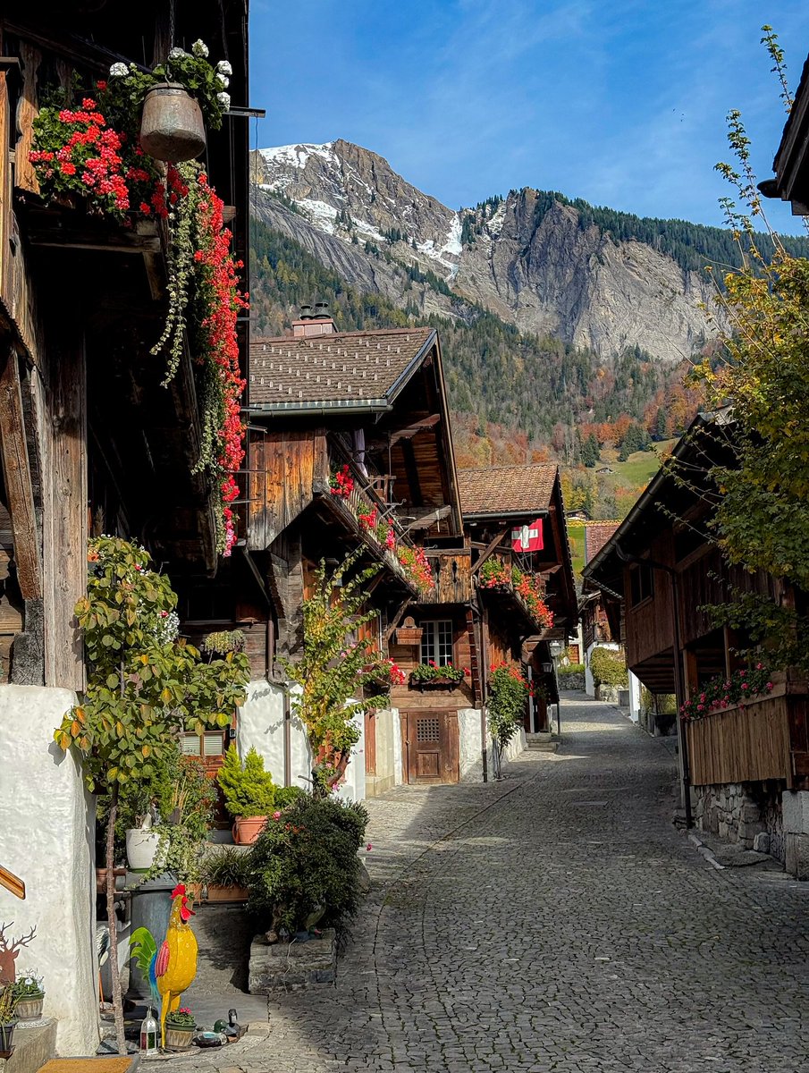 VERDANT VIEWS (@verdant__1) on Twitter photo 