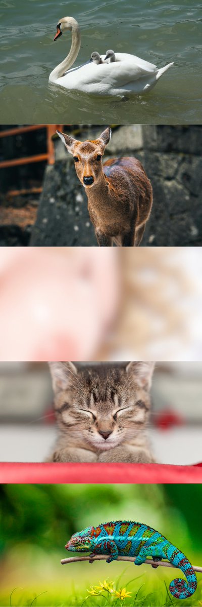 franaborar1982's tweet image. (1/7)　SFW