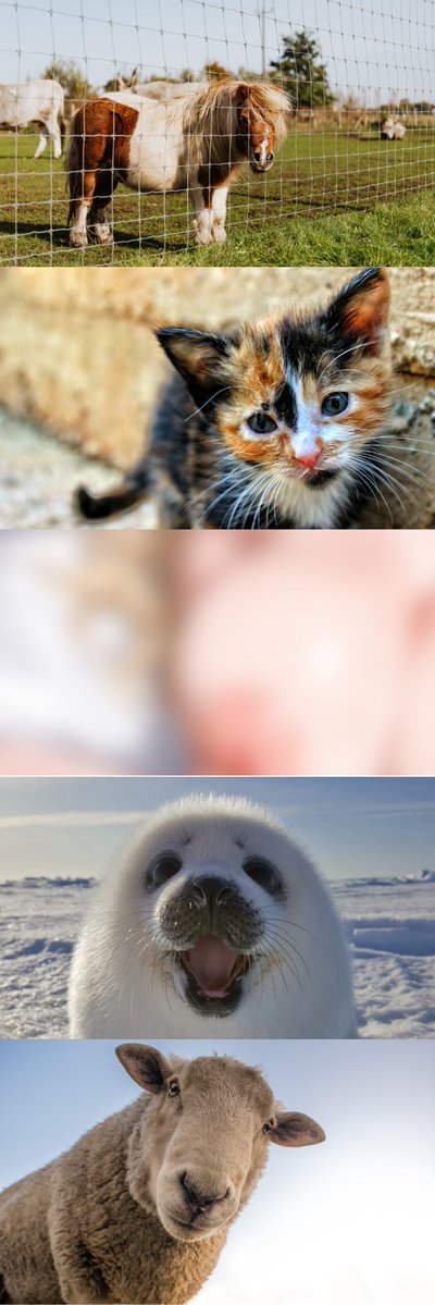 franaborar1982's tweet image. (1/7)　SFW