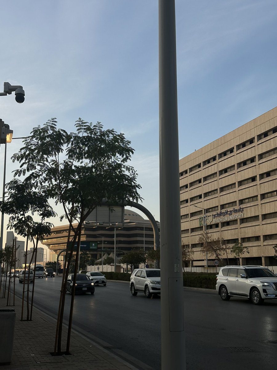 Week 4, In Progress 👍🏼✨