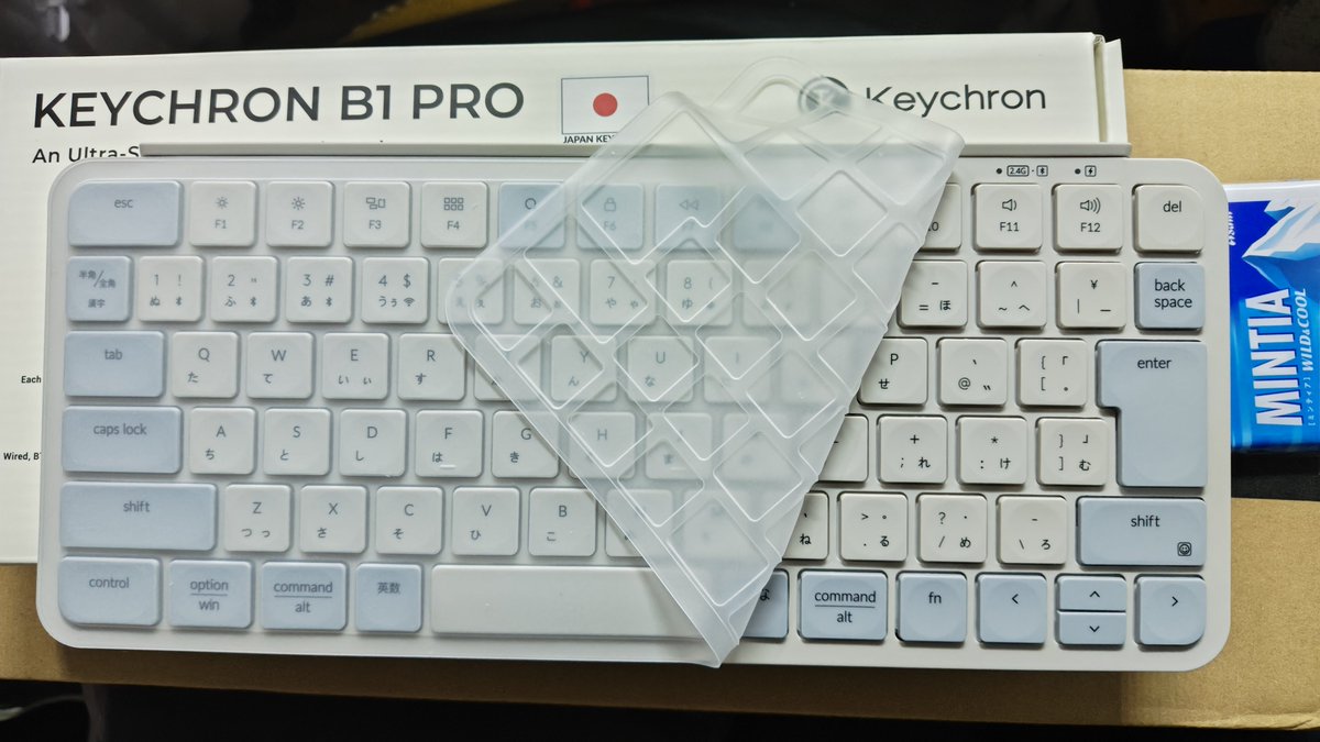 今日は良い買い物をした。Keychron B1 Proのレトロブルーというやつ。コンパクトキーボードを探していて、PC-9801時代の様な色味が気に入った！(Logicoolのソックリさんw)
なんと言っても、標準でシリコンカバーが付いてるところw
シリコンカバーは打ちにくいけど昔を思い出して使い倒す！