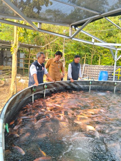 athur_aja's tweet photo. PENDAMPING DESA membersamai Desa menggerakkan BUMDES untuk Ketahanan Pangan menguatkan   perekonomian masyarakat Desa.  

#TPPKemendesaPDT 
#BPSDMKemendesaPDT
#BUMDESKetahananPangan
#TPPProvinsiBanten https://t.co/DcdOtylJGu