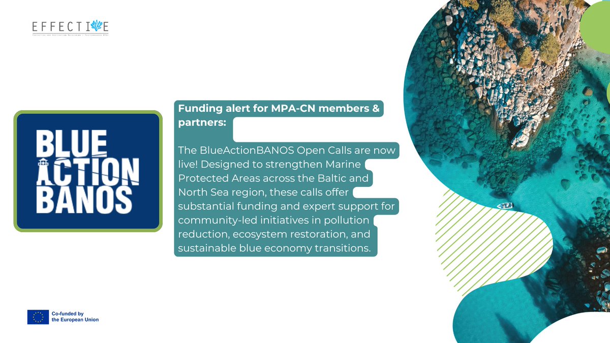 EFFECTIVE-Project tweet media