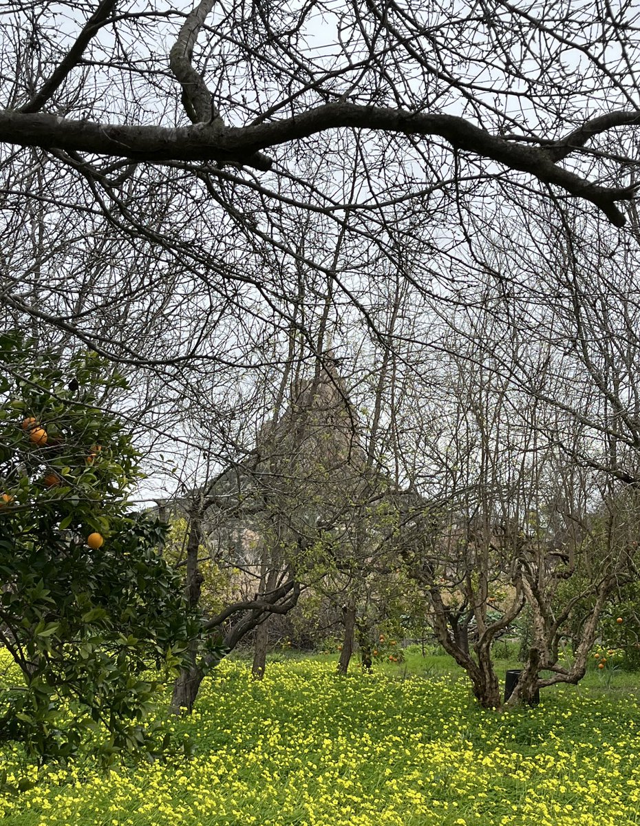 En un lugar de la Huerta tweet media