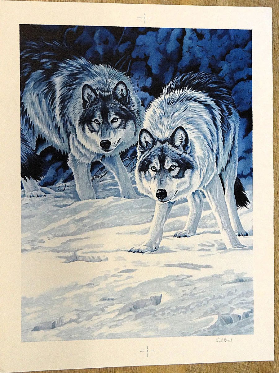 marieartcollec1's tweet photo. Majestic Blue Wolves – powerful & poetic in blue monochrome! Signed limited edition lithograph by Gisèle Benoit. Bring Canadian wilderness home
https://t.co/T3Lfi1EPlx
#BlueWolves #WolfLovers #WildlifePrint #EtsyArt https://t.co/OedHE2F6p4