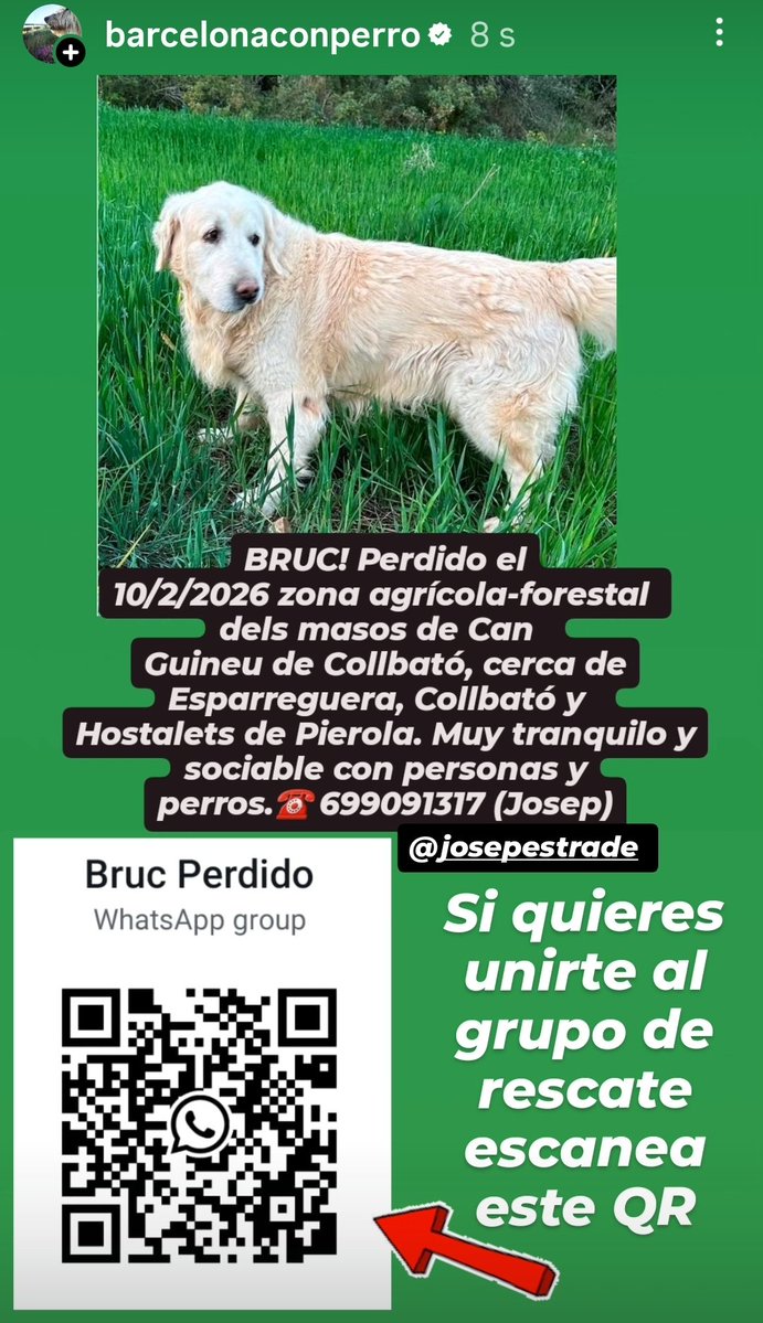 Por favor difundir y uniros al grupo de búsqueda escaneando el QR. Bruc tiene 12 años y esta desorientado. Compartir por favor!!!