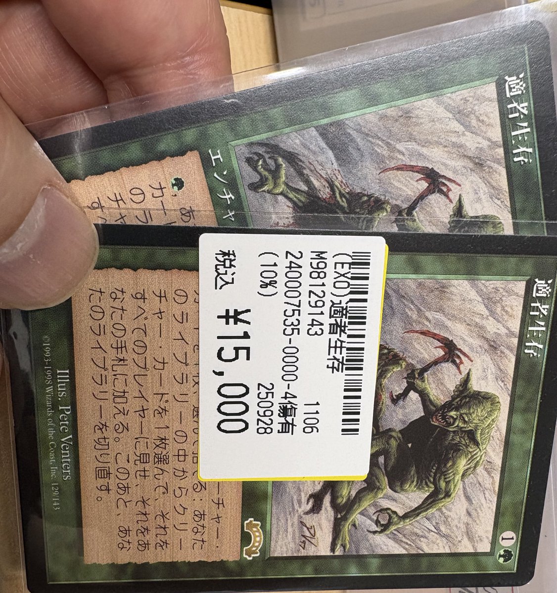 【激レア】適者生存　NM相当 適者生存の価格イメージずっとこんな感じだったけど最近価格ブッとんで