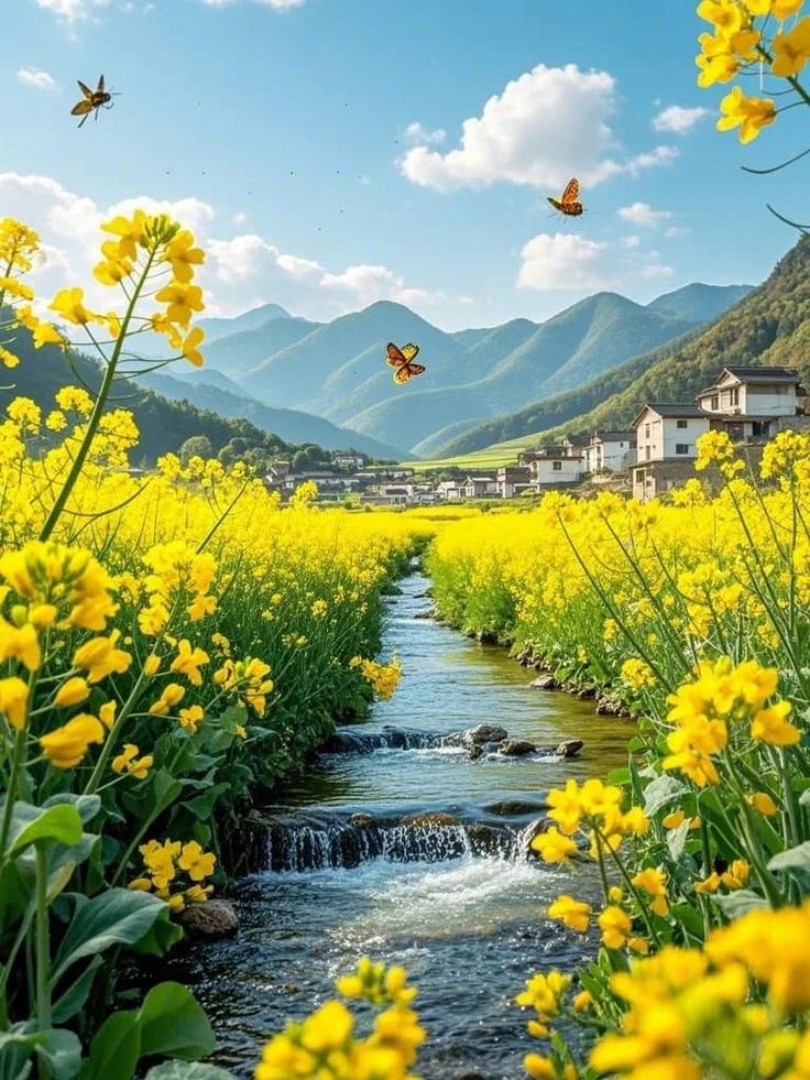 Allied international education system (@emmanature12) on Twitter photo 