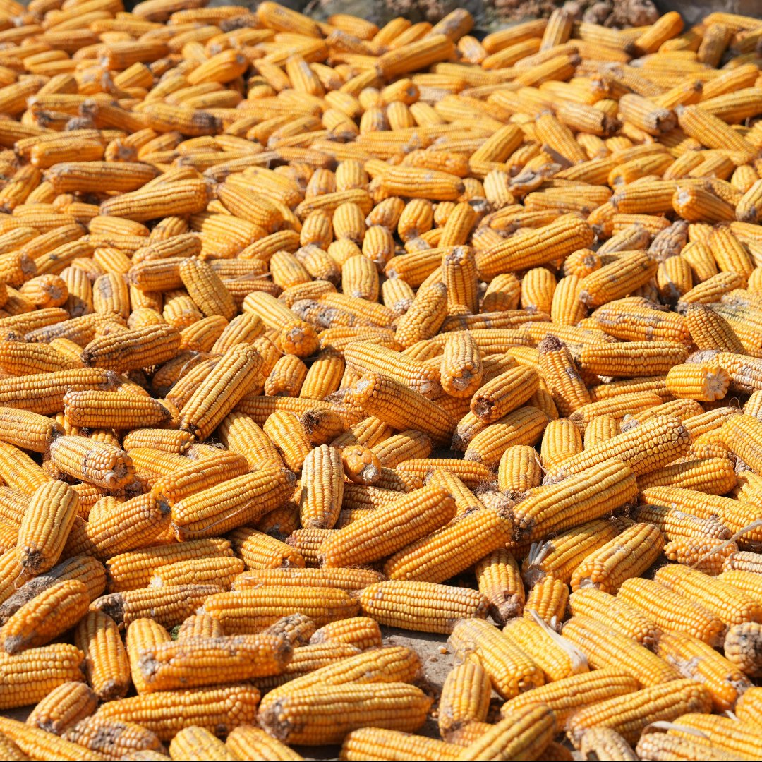 Agro Paris Bourse tweet media