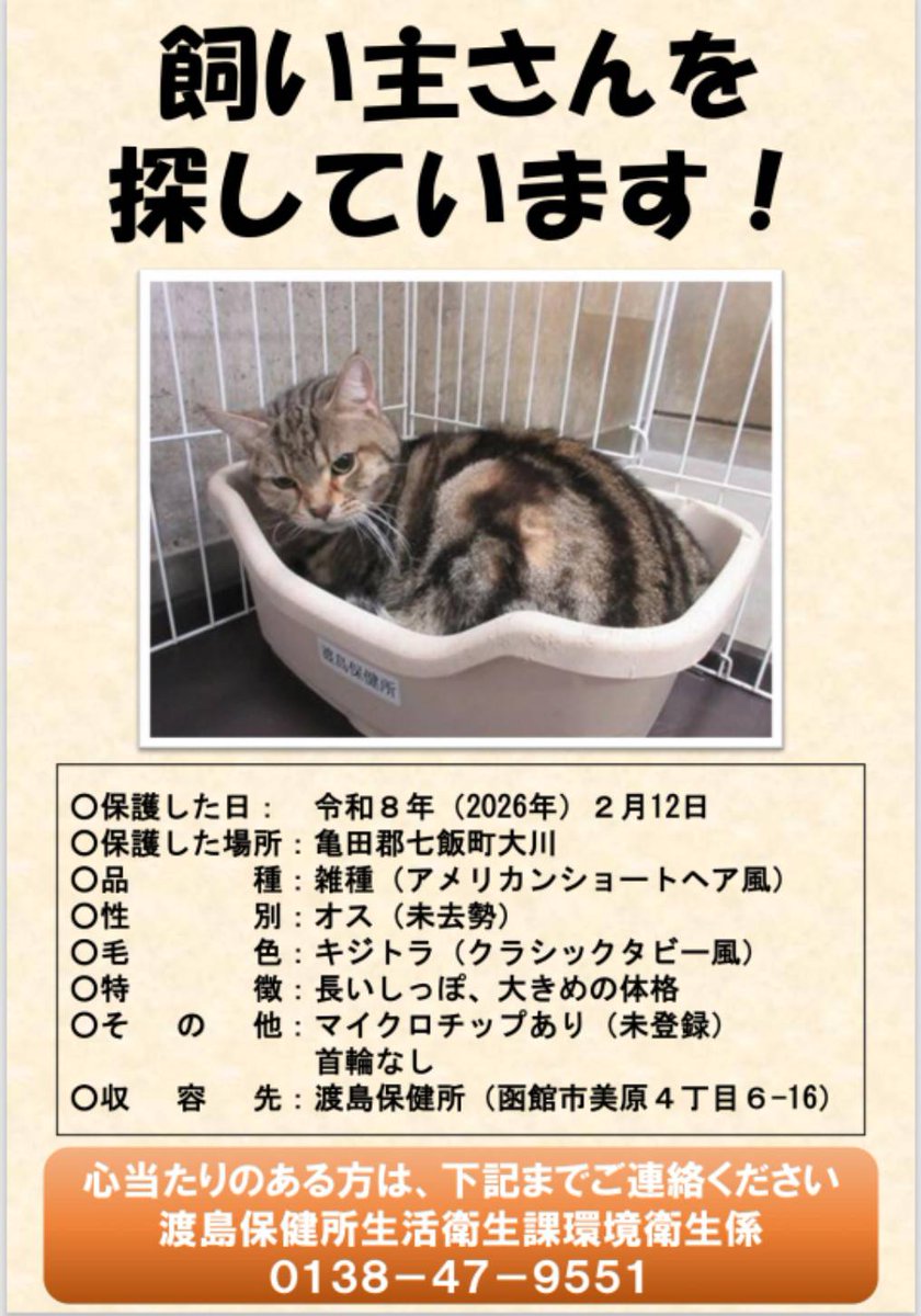 道南愛護センターです
七飯町大川でマイクロチップの入った猫ちゃんが保護されました。
お探しの方はいらっしゃいませんか？また、ご近所で猫をお探しの方はいらっしゃいませんか？
渡島保健所にて保護しておりますのでお心当たりのある方は渡島保健所までご連絡お願いします。