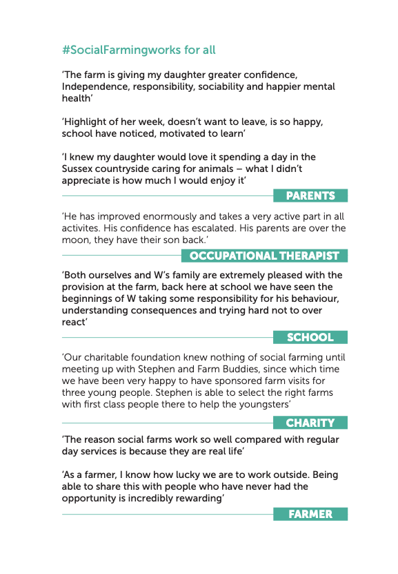 FarmBuddies tweet media