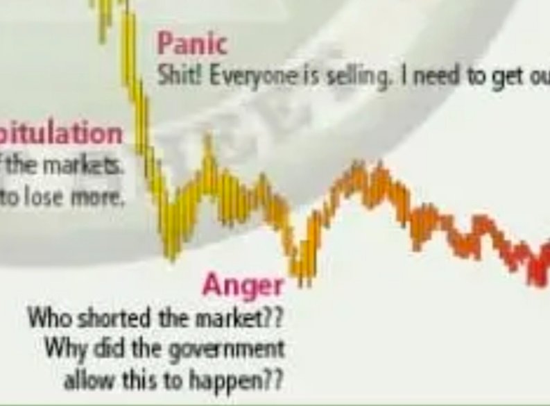 Flo.algo tweet media