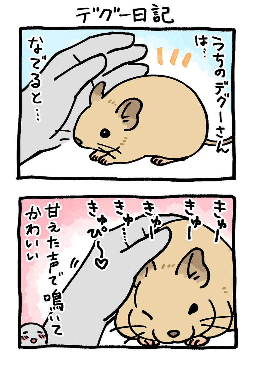 デグー日記🐭 （再掲）
