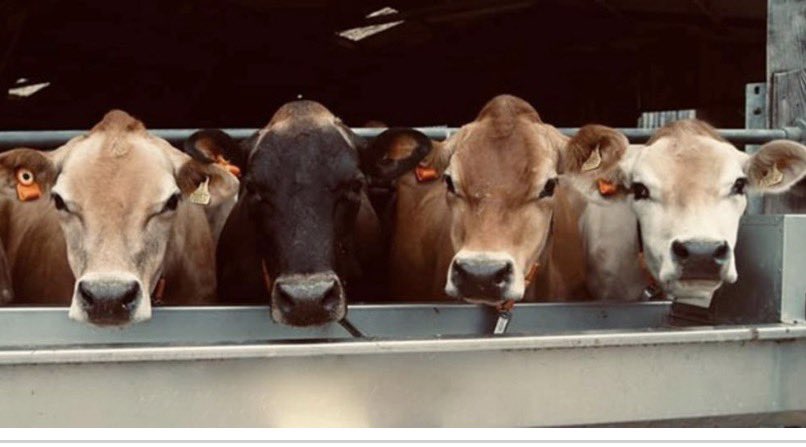 PROTECT ALL WILDLIFE tweet media