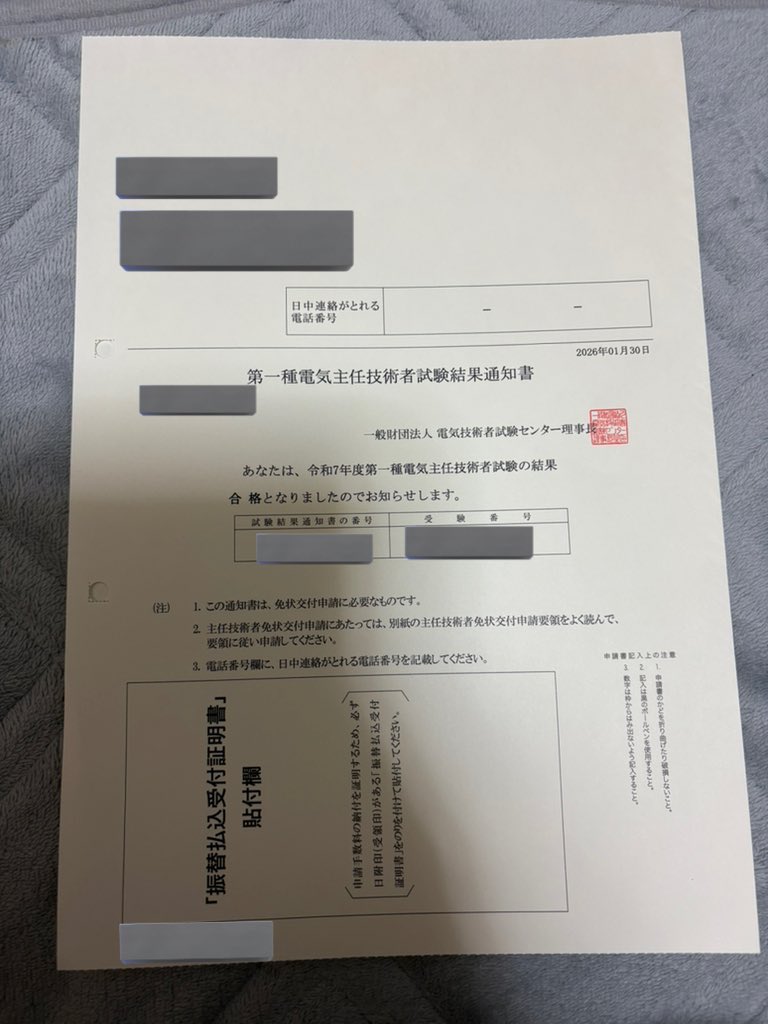 引リツの資料をやれば、ピカチュウに100万ボルトを出せるようになり