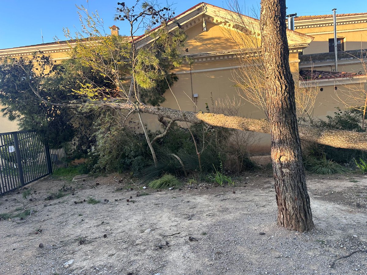 Educació tweet media