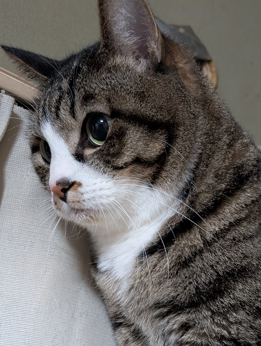 ふみ (@xAzwizeAQXhHvPi) / Posts / X