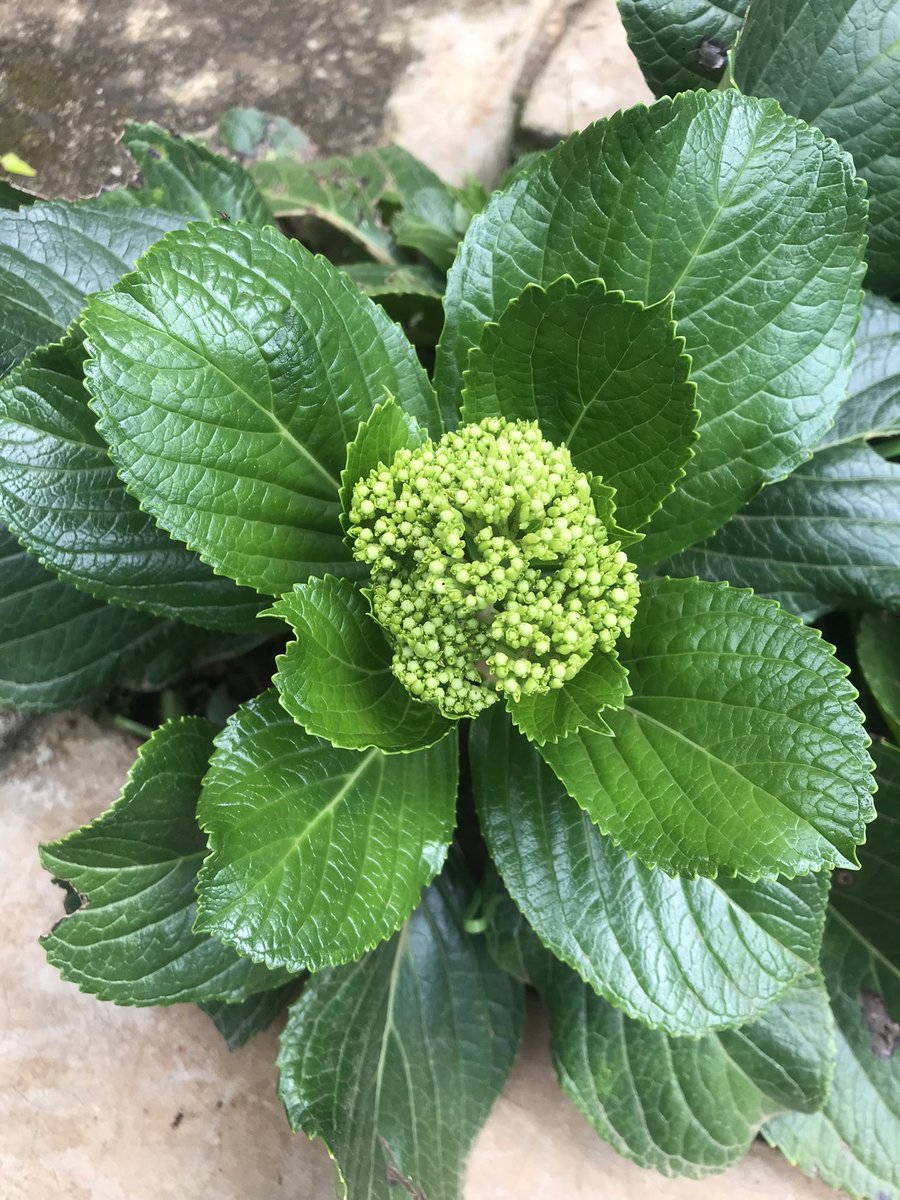 Miss Understood tweet media