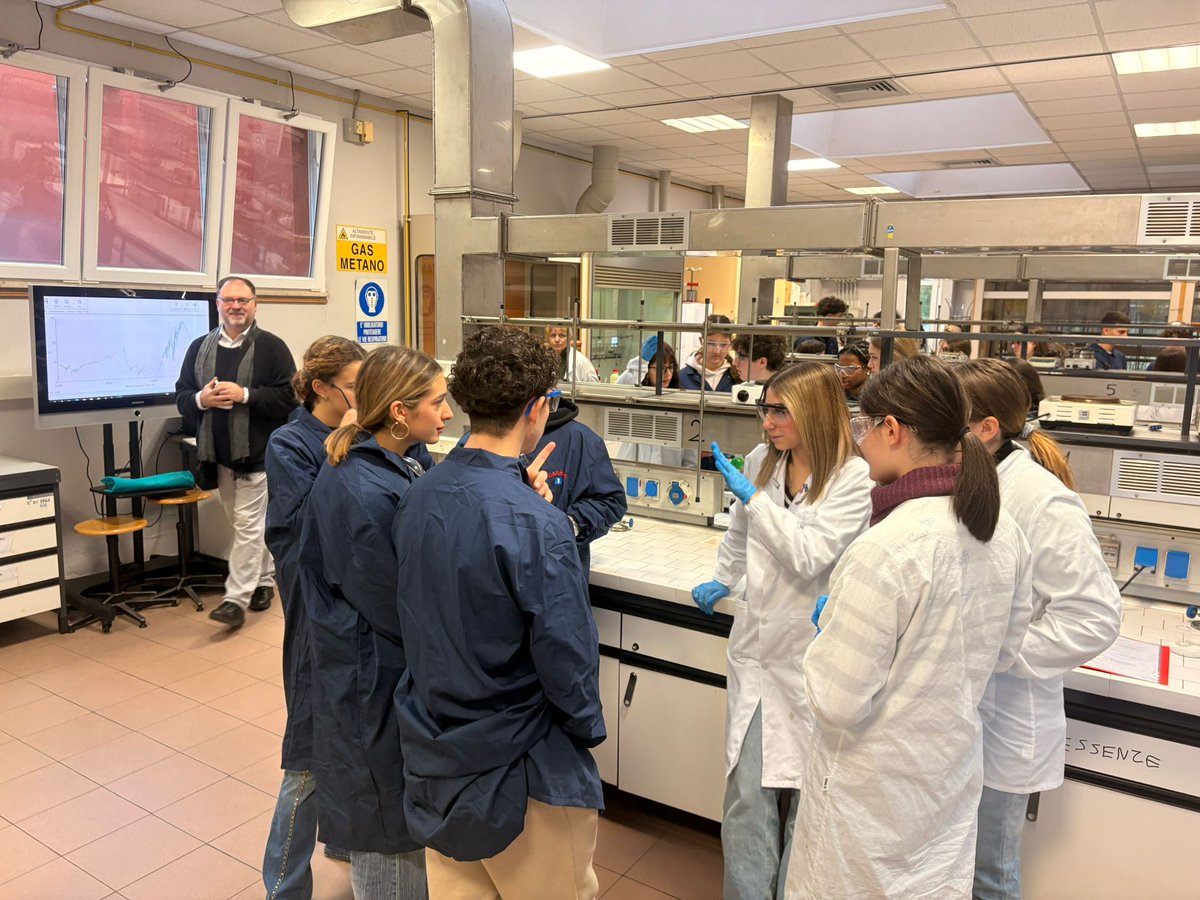 Projectes internacionals Bellera tweet media