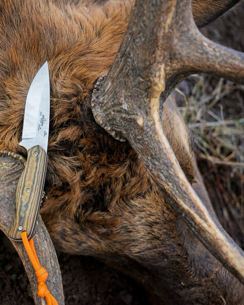 Emerson_knives's tweet image. Nice Bull!!@tylerturco_outdoors
•
Bull down and time to put the @emersonknivesinc to work once again! 

#elkhunting #huntingknife #fixedblade #bulldown #emersonknife