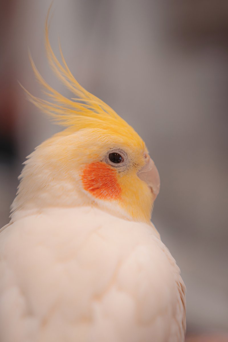 キラキラ✨