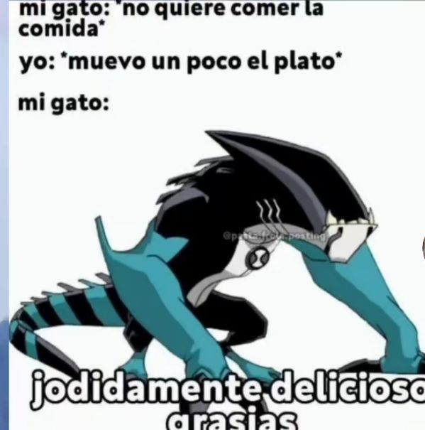 chincheto pirata somali (@wikipistacho) on Twitter photo 