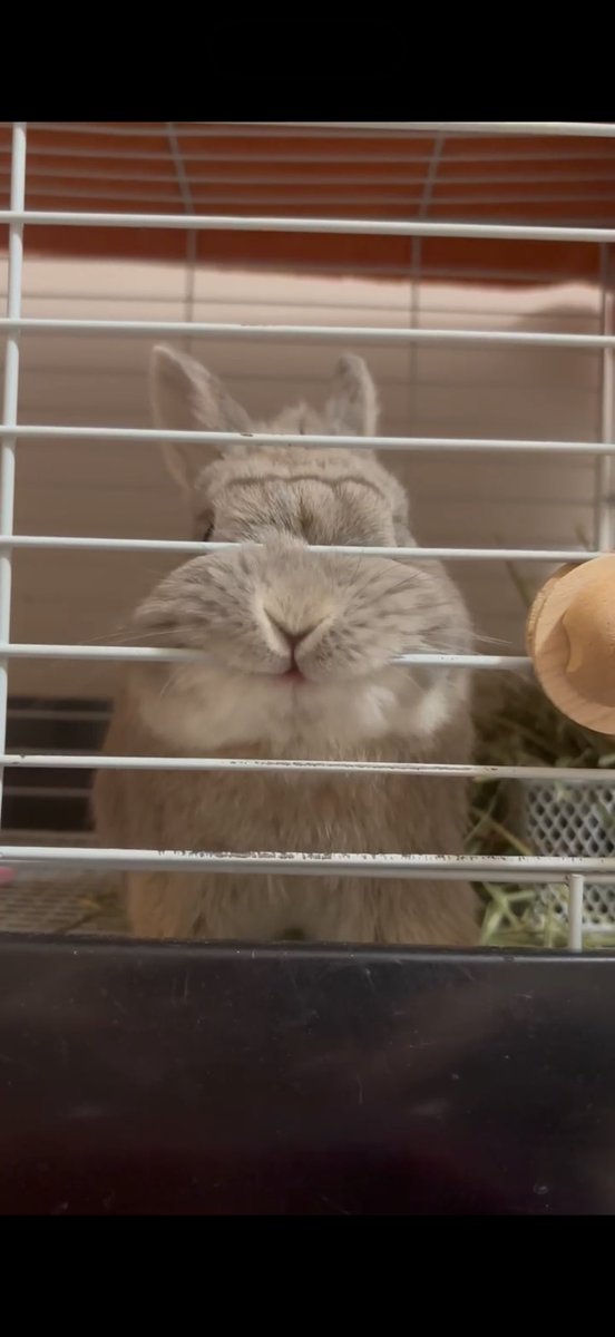 ぶんた tweet media