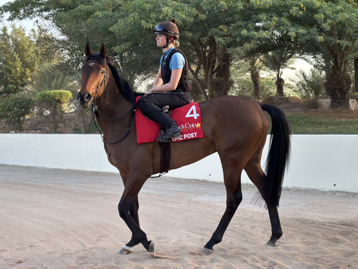 Michael Adolphson tweet media