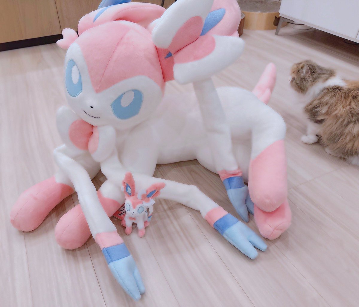 RT @teruto_sub: 等身大ニンフィア届いた😦 でかすぎる😦😦😦