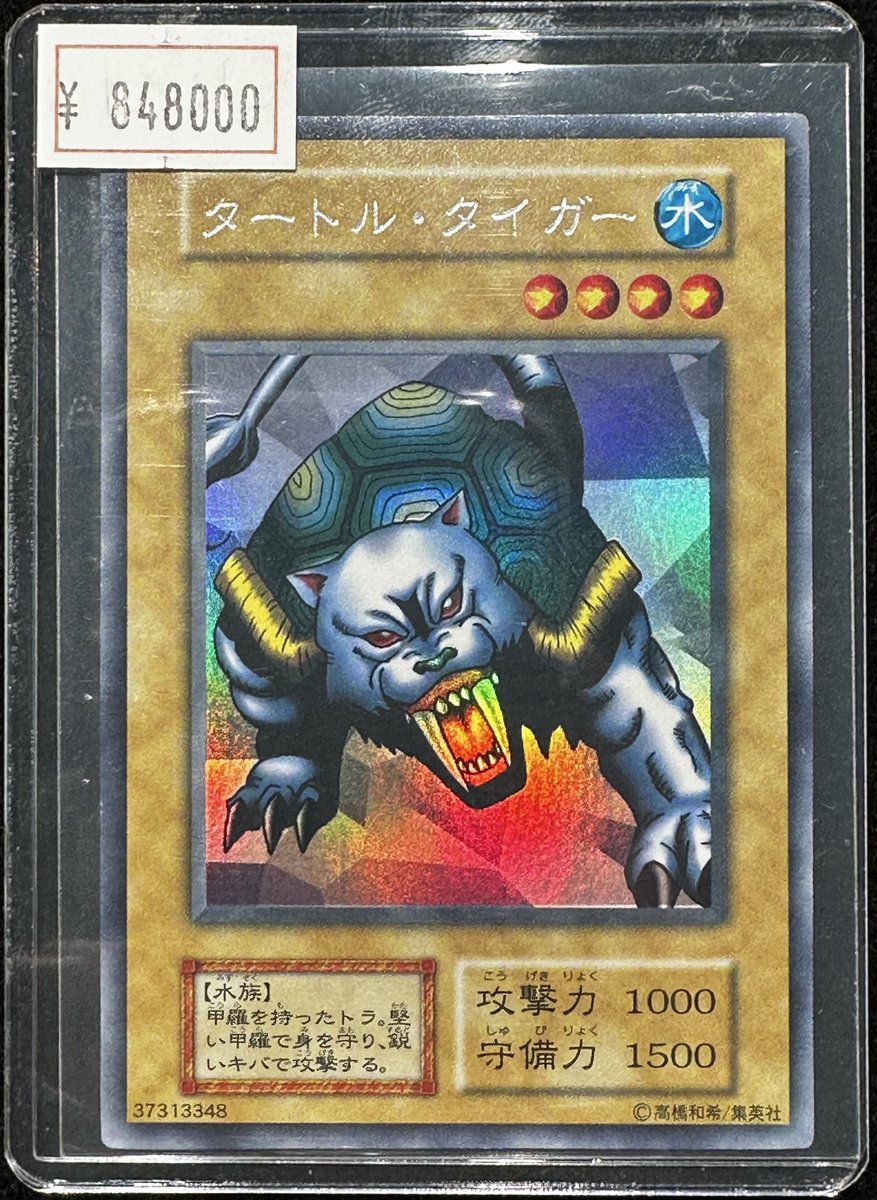 VALUABLE CARD TOKYO 4F💎商品紹介📢】 ／ 🐅タートルタイガー