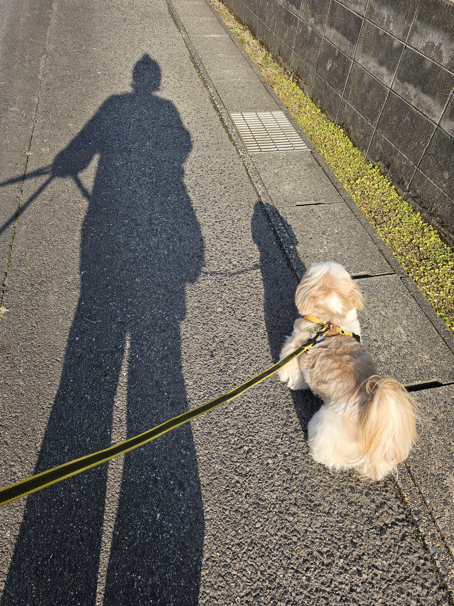 何頭身なんやろwww なんか嬉しくなるやないのwww リアルは5等身